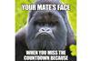 Diageo Grumpy Gorilla