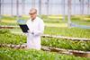 GMO precision breeding crops greenhouse science farming farm