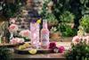 Fentimans_RoseLemonade