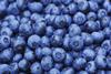 Co-op winter blueberries go Fairtrade