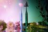 Ordo_Wicked_20822_C1_TA-Edit02_Output (1)