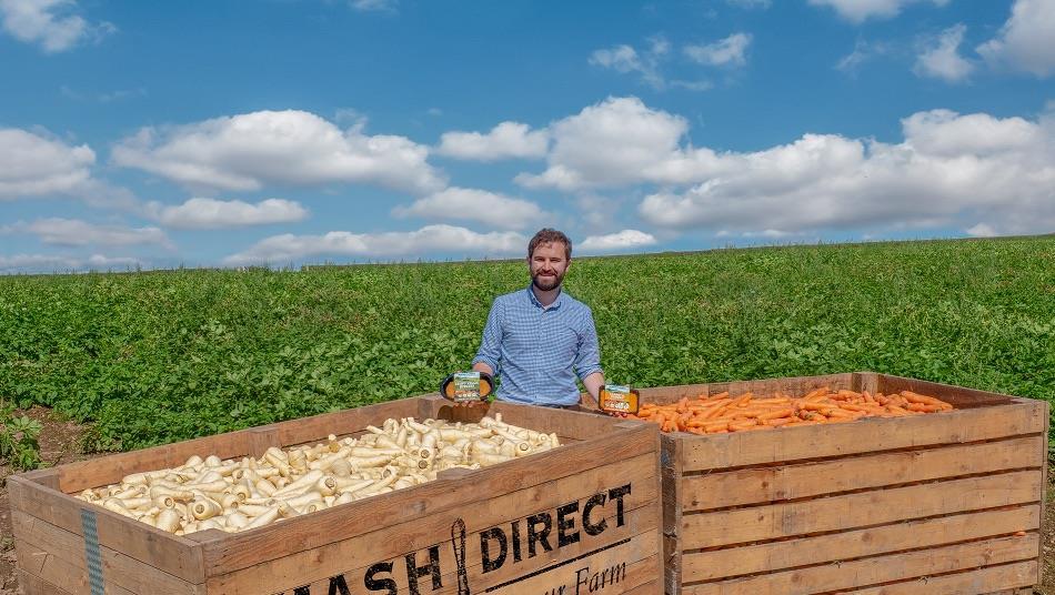 Mash Direct Launches Platform For Food Jobs In Northern Ireland News The Grocer