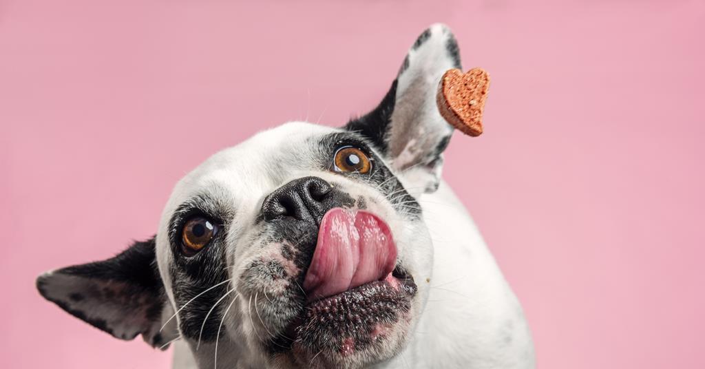 Petcare 2025: Preventative care trend benefits the UK’s cats and dogs