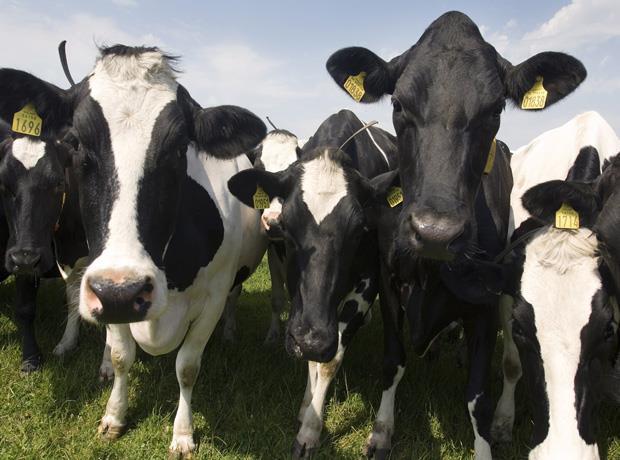 Arla reveals farm CO2 emissions after first year of Climate Check programme - Vimarsana News