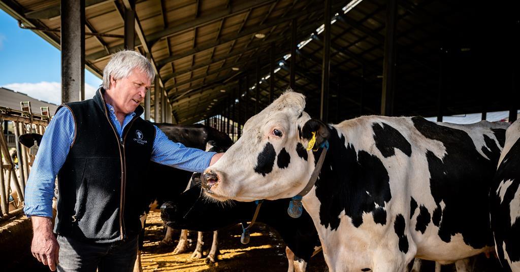 Tesco announces Bovaer feed supplement trial for dairy cows The Grocer