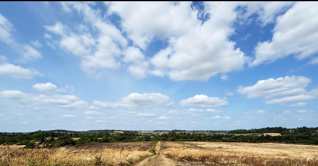 Growers facing ‘extremely challenging’ weather as crops suffer