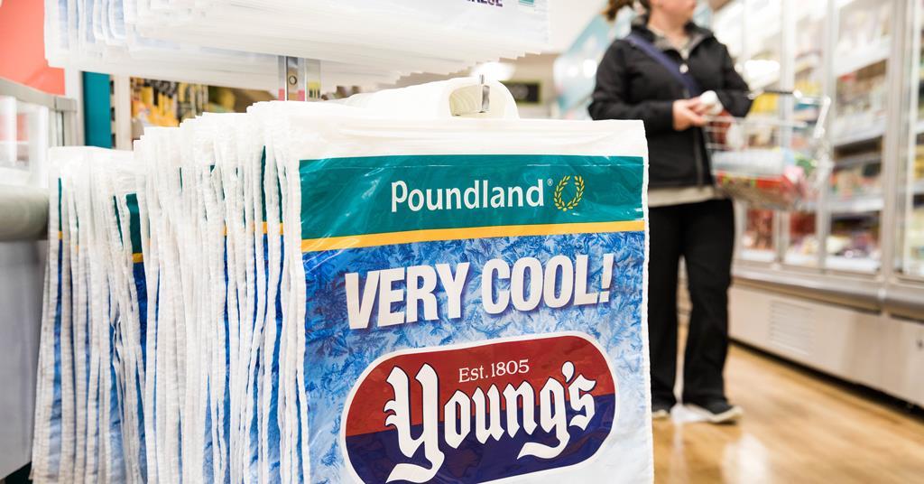 Poundland to introduce frozen and chilled food 'shops in ...