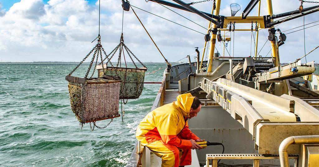 UK and Faroe Islands agree on new fishing quota deal The Grocer