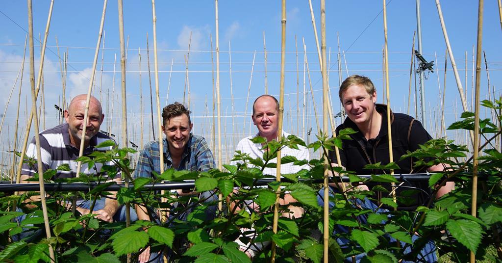 Clock House Farm launches new propagation business News The Grocer