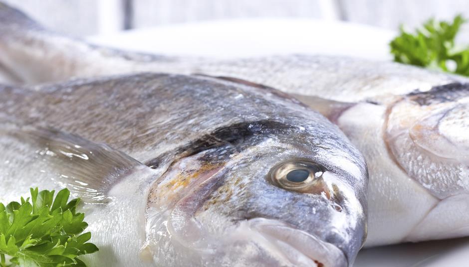 Fishermen say retail sea bass supply safe from EC trawling ban | News ...