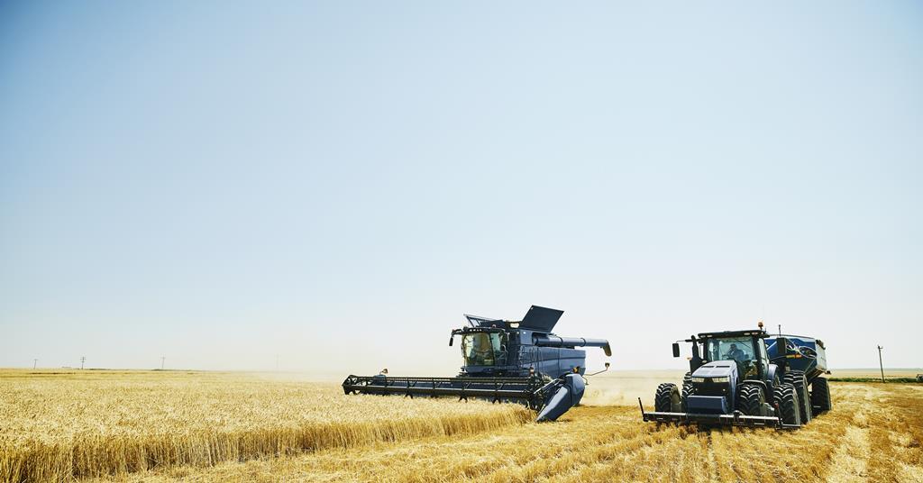 Summer drought cost UK arable farmers over £800m: research | The Grocer
