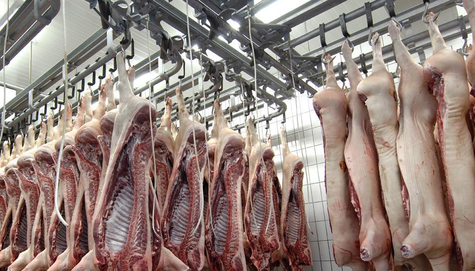 Slaughterhouse CCTV legislation to go before parliament | News | The Grocer