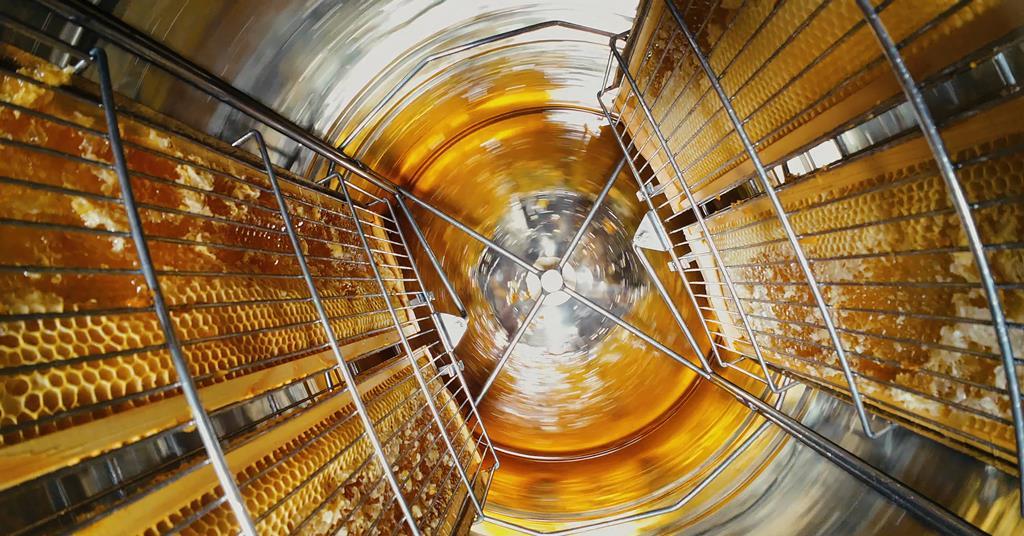 What’s the truth behind honey fraud claims? | The Grocer