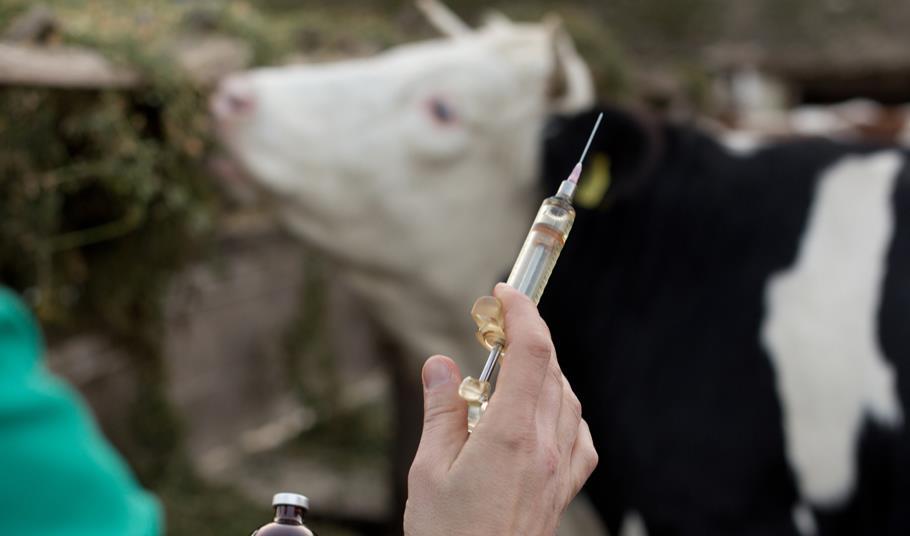 DAIRY PRODUCTS AND ANTIBIOTICS visual data 7