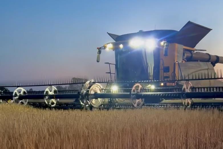 Extreme heat affecting grain harvest, Northern Pasta Co warns