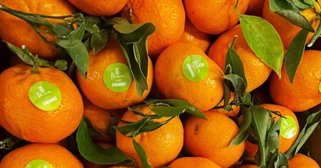 Bio Dima to reduce food waste with help from six-figure loan scheme - Vimarsana News