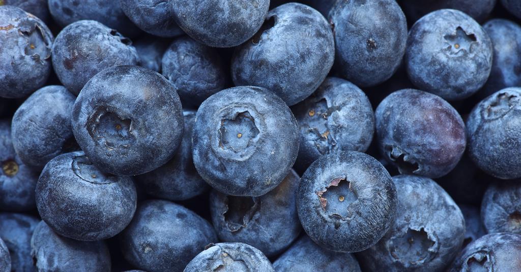 Buoyant year for berries boosts Berryworld finances