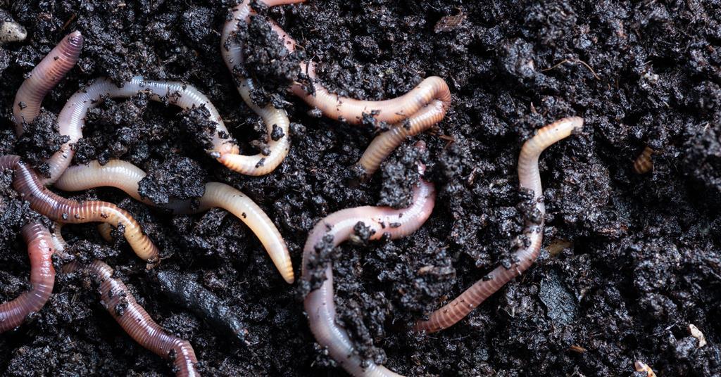 Soil extinction: are we heading for an agricultural Armageddon ...