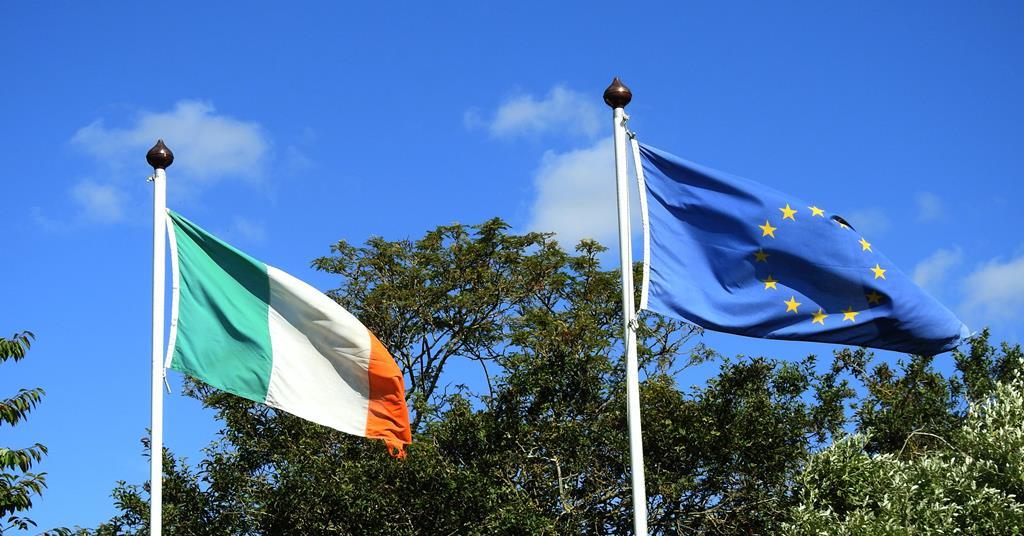 Half of Irish food companies expect increase in GB business, despite Brexit disruption - Vimarsana News