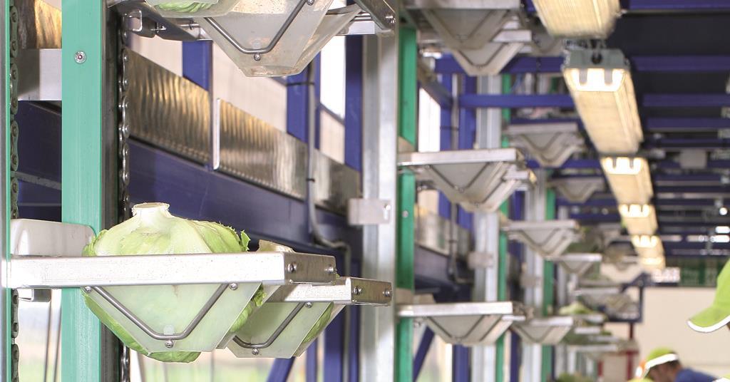 How Tesco works with suppliers Promotional Features The Grocer