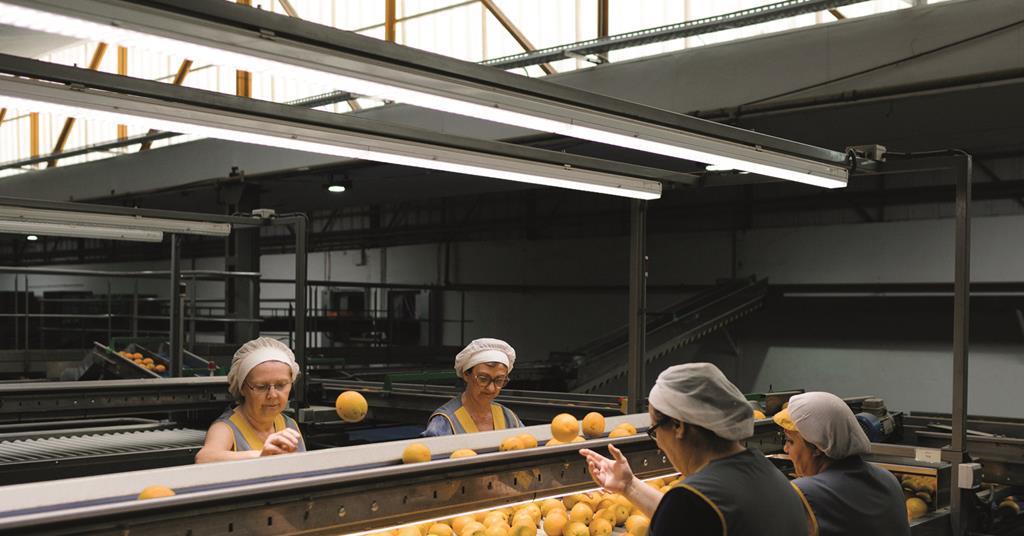 How Tesco works with suppliers Promotional Features The Grocer