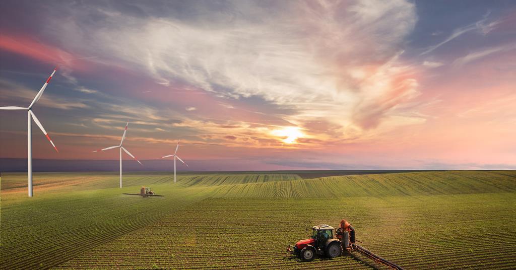 UN Sets Out Roadmap To End World Hunger Amid Climate Crisis News un-sets-out-roadmap-to-end-world-hunger-amid-climate-crisis-news