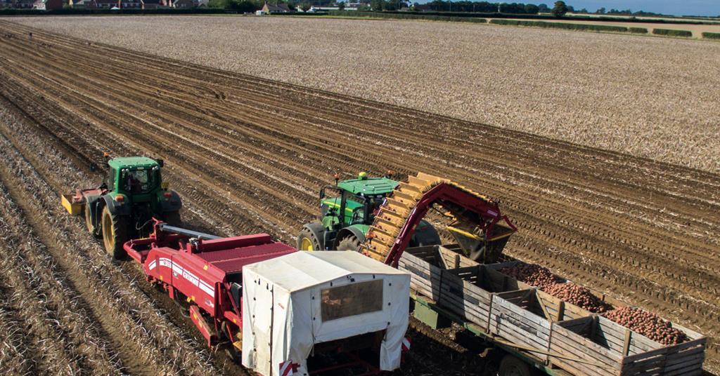 How Tesco works with suppliers Promotional Features The Grocer