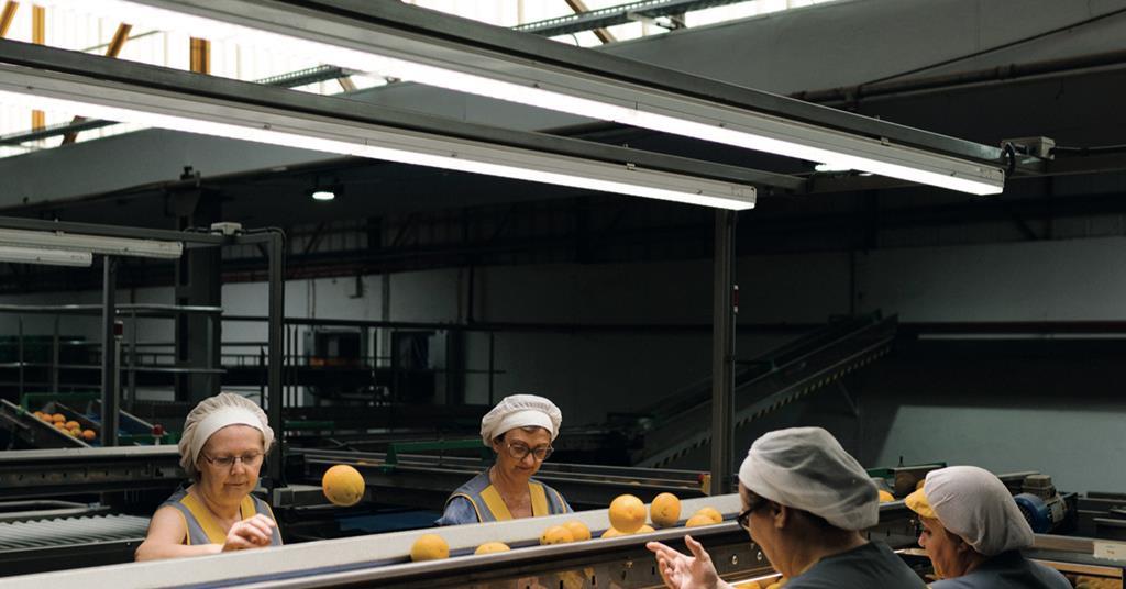 How Tesco works with suppliers Promotional Features The Grocer