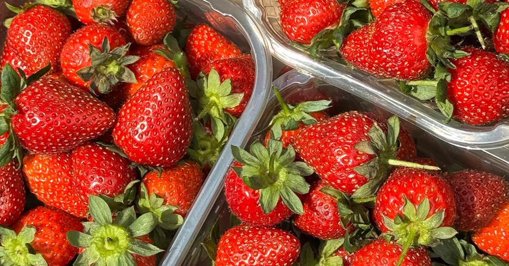 Strawberry growers call for retailer support as late season volumes rise