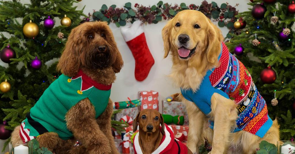 tesco pet cooling mat