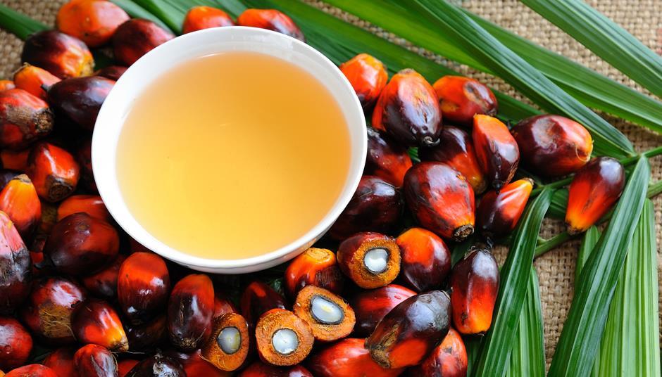 Palm oil prices fall as production rebounds Analysis & Features The