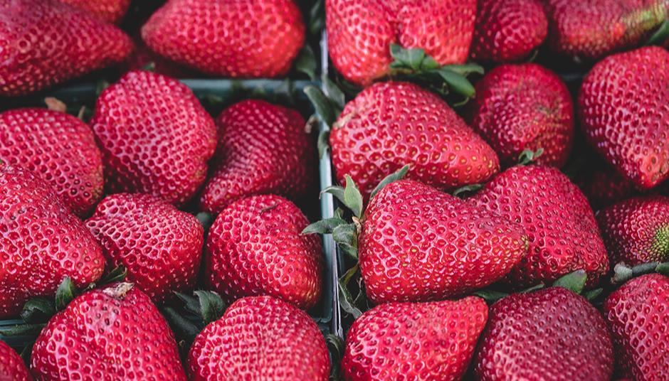 BerryWorld partners with vertical farm to grow strawberries year round