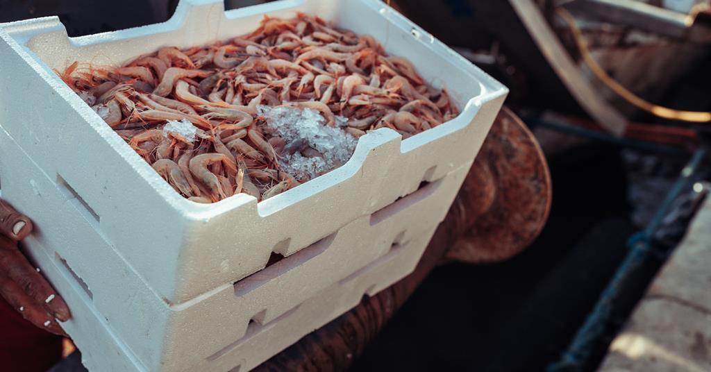 ‘Humane’ prawn stunning and tailing machine secures funding | The Grocer