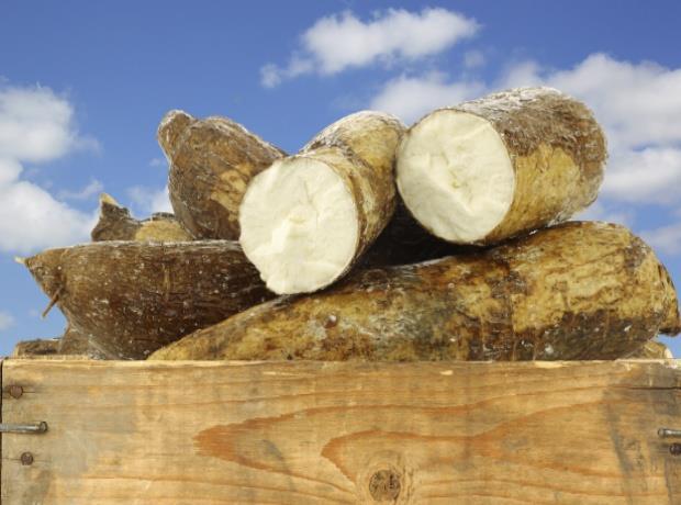 Arrowroot powder prices set to rise | News | The Grocer