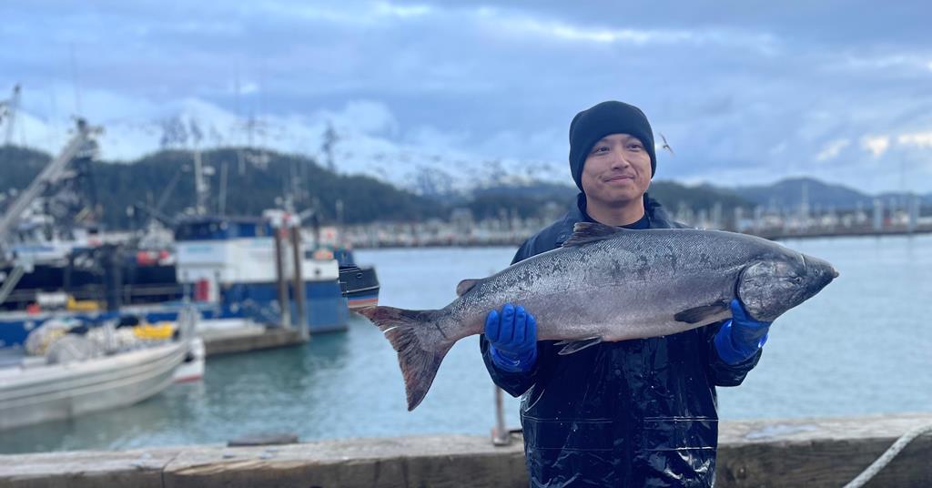 Alaska's wild salmon fishing season begins on good note - Vimarsana News