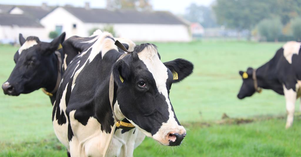 Compulsory dairy contracts get go-ahead from government - Vimarsana News