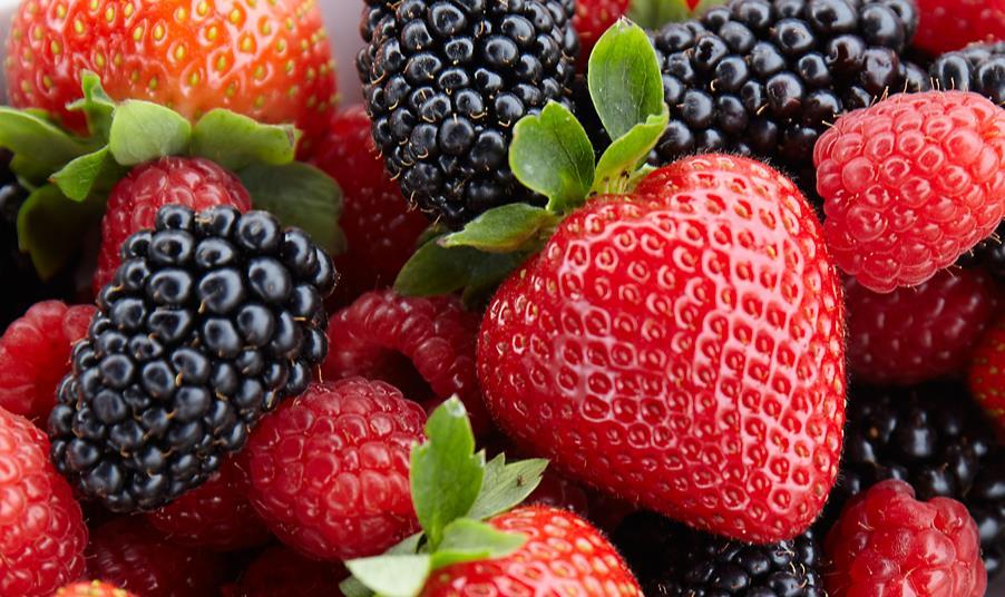 Sales Of Berries In Double Digit Growth During Winter Months News The Grocer