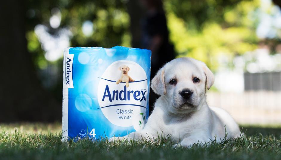 10 Andrex Analysis & Features The Grocer