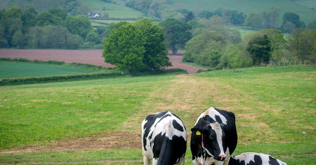 Tesco partners with Natwest to help farmers reduce costs and decarbonise