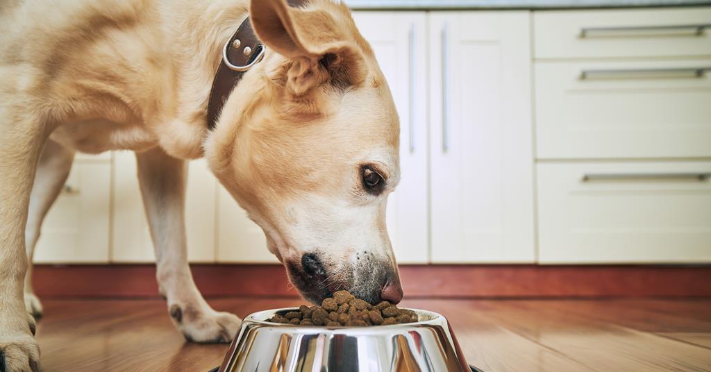 asda forthglade dog food