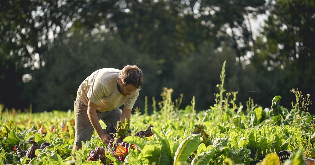 NFU calls for an overhaul of horticultural supply chain relationships