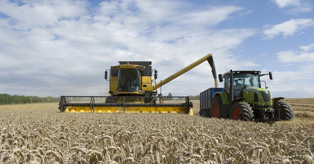 Food sector calls for government action on UK food security | News