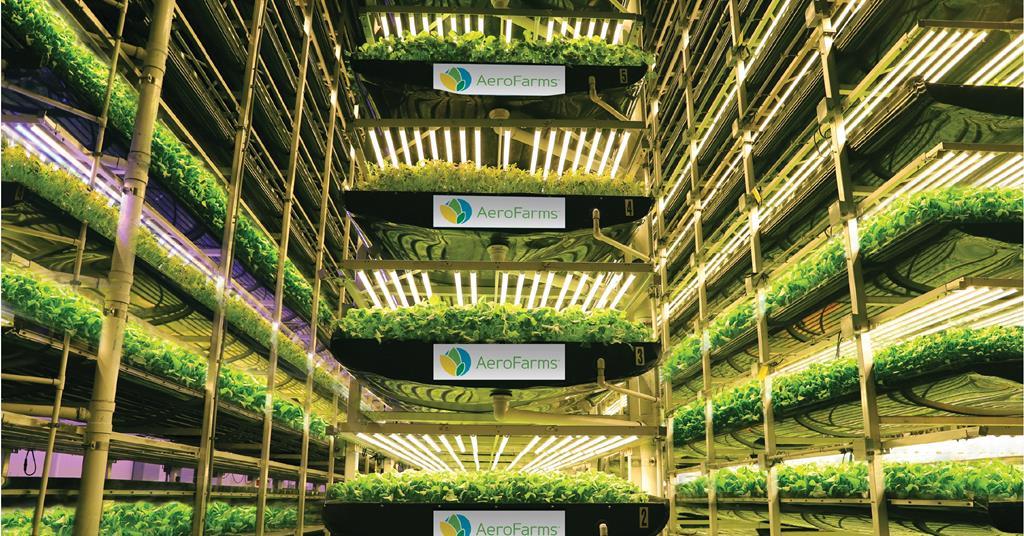 How Vertical Farming Is Taking Off Analysis Features The Grocer