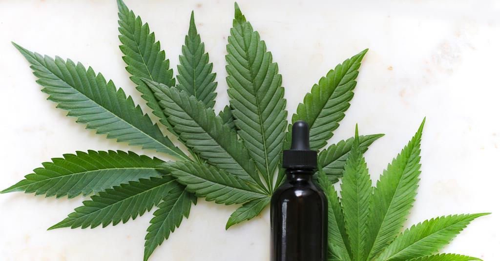 As CBD novel foods deadline passes what are the category's prospects? | Analysis & Features | The Grocer