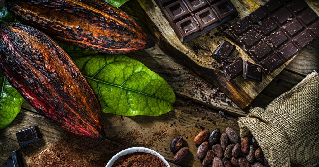 Are UK's favourite chocolates ethical? Cocoa farming practices report