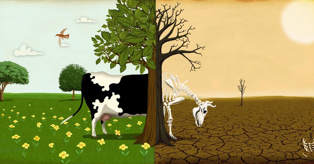 How is the dairy industry addressing climate change? Analysis & Features The Grocer