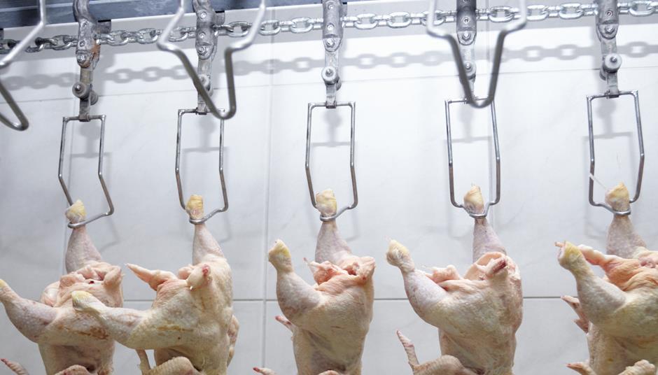 New chlorinated chicken proposals still pose threat to UK sector BPC
