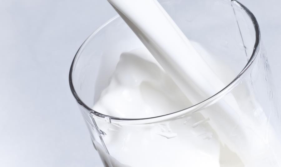 Poll Reveals Confusion Over Dairy And Lactose Intolerance News The   62904 186485262 