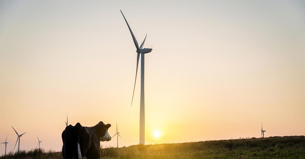 Committee accuses Defra of setting farmers up to fail on SFI