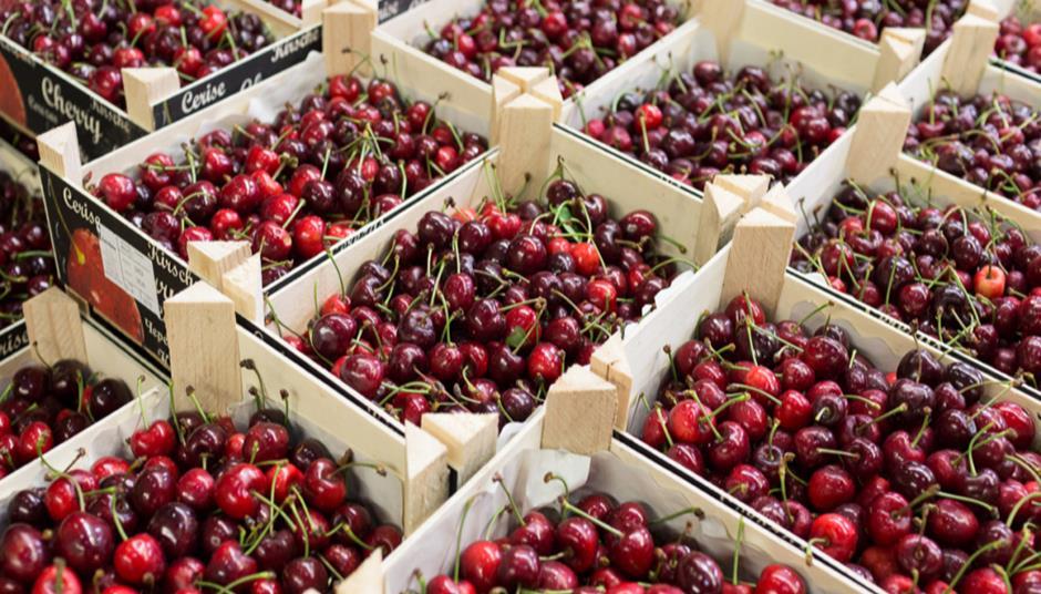 UK cherry growers expect harvest to double compared with last year